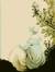 Eveline