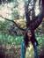 Mihaela...