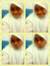 Dhea Laila