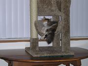 Kathy St onge-steffy