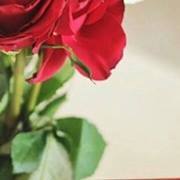 الثائر الاديمي