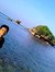 Arif R