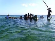 Sylvachite Thegunners