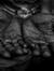 Farid H...