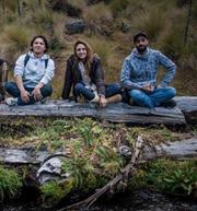 Visual Cesar paradise