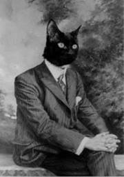 César Vivar cortés