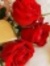 Ingy Kh...