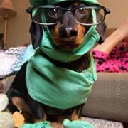 Rob-deedee Scartozzi