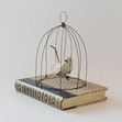 Caged Bird
