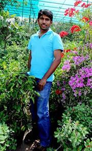 Bharathi Pushpanathan