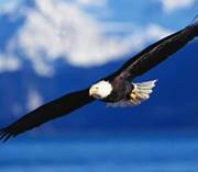 ហ៊ុន ចន្ត្រា