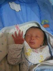 مسلمة بتحب ربنا