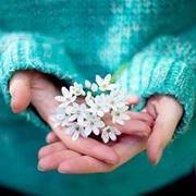 Farfora Amora ʚïɞ