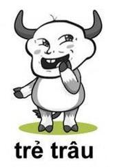 Trí Trâu