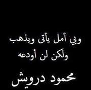 Hanan Abusamrah