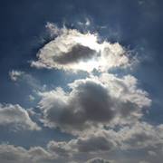 أمجد السحلي