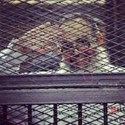 حنان راجيه الفردوس