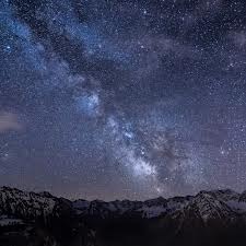 Randomanize45 PantherLily45 Chaostheorist