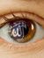 Abdul W...