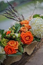 شيرين التميمي