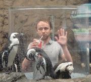 Christopher Phillips