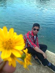 Ahmed El sayed