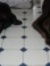 Katie M...