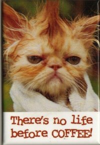 Trudy Dimowitz-murray