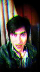 Phillipe Roses