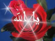 Rahaf Qari