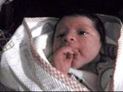 محمود شبايك