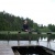 Jelle
