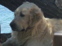 Τίμος Μπατινακης