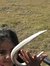 Arushi ...