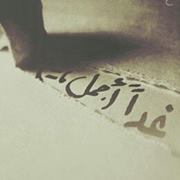 سلمان العنزي