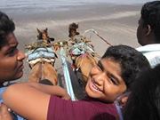 Hřîțîk Šåwăňț