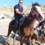 أمير البيظان