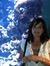 Shannon