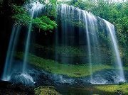 نايف العبدالرحمن