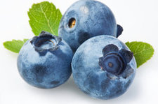 Blaubeere