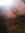 Heather Teel