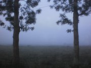 Prem Kumar