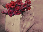 جودي الحربي