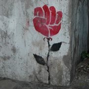 Anna Current greenwald