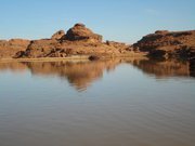 محمد البلوي