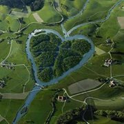 احمد البرعي