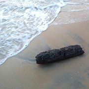 Sudheer Chettiparambil