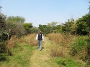Ram Chandra