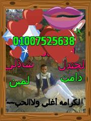 شاذلى الحجازى