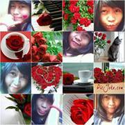 Dwie Puspita sari